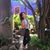 Abby Campos's profile image