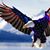 Steve Hester's profile image