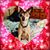 Karen Knight Lane's profile image