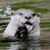 Michelle Cook's profile image