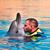 Yanislav Iliev's profile image