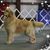 Janet S Brant's profile image