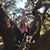 Angela Breland's profile image