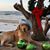 Teresa Green Cordes's profile image