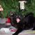 Patricia Engler DeLano's profile image