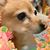 AngaNaa Ortega's profile image