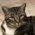 Lois Turner's profile image