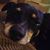 Wendy Holland Hampton's profile image