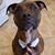 Theresa L. Thomas's profile image
