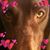 Gina Tiziani-Beck's profile image