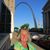 Bonnie Greenlee C Lark's profile image