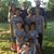 Paula Bethany Waldon's profile image