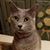 Joye Lane's profile image