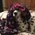 Cathy Goble's profile image