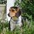 Lorie McClain Gordon's profile image
