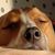 Denise Kersky's profile image
