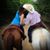 Lisa Hill Nelson's profile image