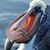 Kristin Dayton's profile image