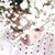 Alice Meinicke's profile image