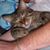 Matthew Gornik's profile image