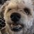 Brian Gardenhire's profile image
