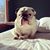 Jenny Schnur's profile image