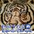 Jacquelyn Bakewell Perez's profile image