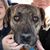 Johanna Raifman Porter's profile image