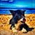 Andrew G Oliver's profile image