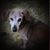 Kathy Kirk's profile image
