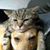 Jane Seides's profile image