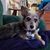 Monica Crossno's profile image