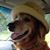 Tami Seguin Sims's profile image