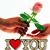 Leonor E. Mercado Veliz's profile image