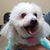 Rose-Marie Spruill's profile image