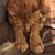 Michelle Grabinger's profile image
