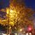 Yvette Wilks's profile image