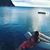 Jacqueline Helene's profile image