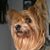 Beth Koons Conrad's profile image
