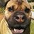 Linda Lipton's profile image