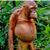 Nicole Frankum's profile image