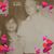 Tlt Lodong Tomer's profile image