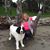 Kim Graban-Long's profile image