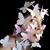Noemi Sou Cam's profile image