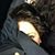 Anne Gee's profile image