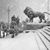 Jeannette Amariles's profile image