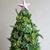 Debby Blumerich's profile image