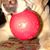 John Tormey's profile image