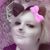 Dori Kemery's profile image