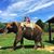 Katie Ervin's profile image